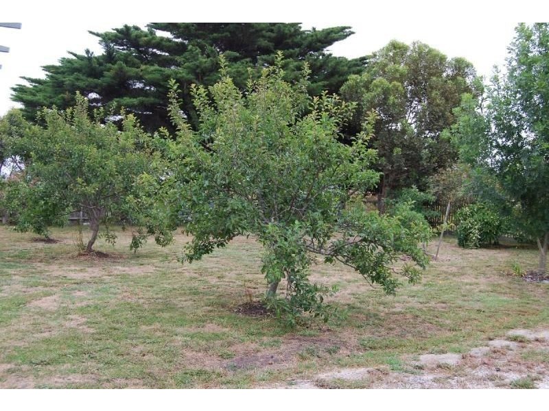 Pound Creek VIC 3996
