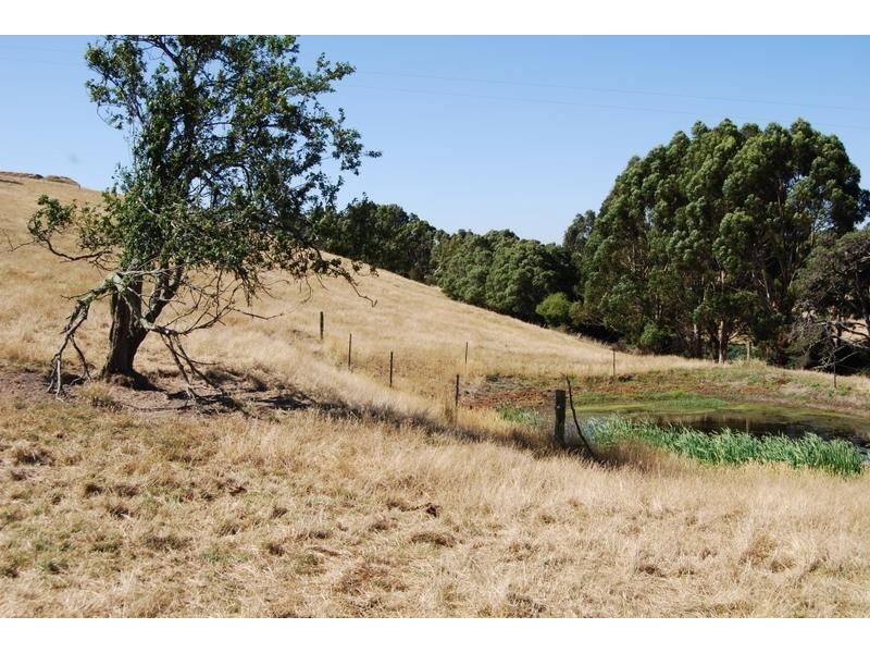 0 Glen Alvie Road, Wonthaggi VIC 3995