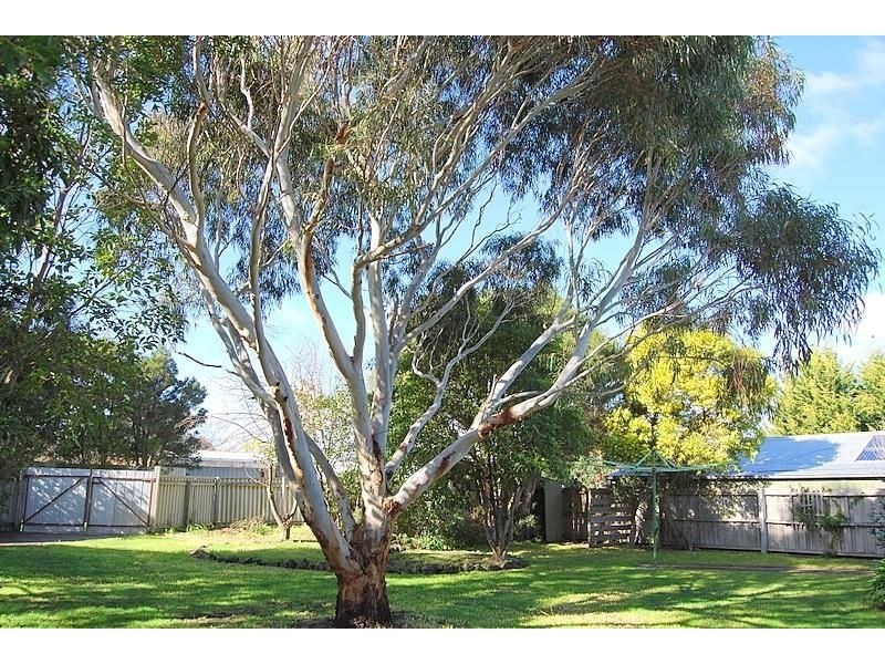 Wonthaggi VIC 3995