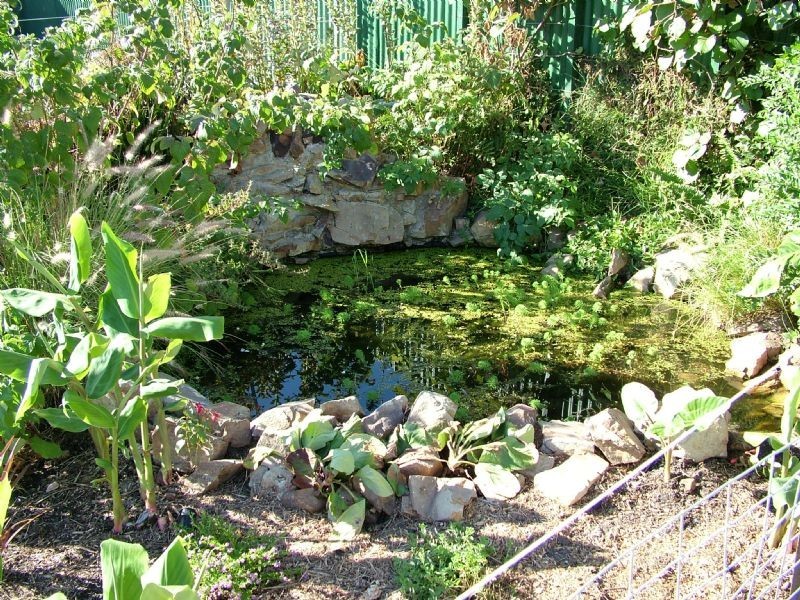 Wonthaggi VIC 3995