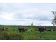 West Creek VIC 3992