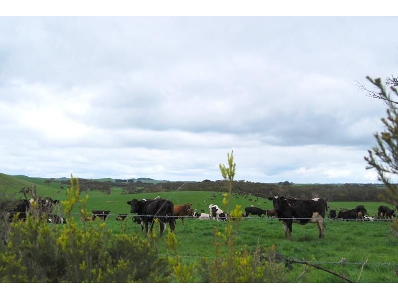 West Creek VIC 3992