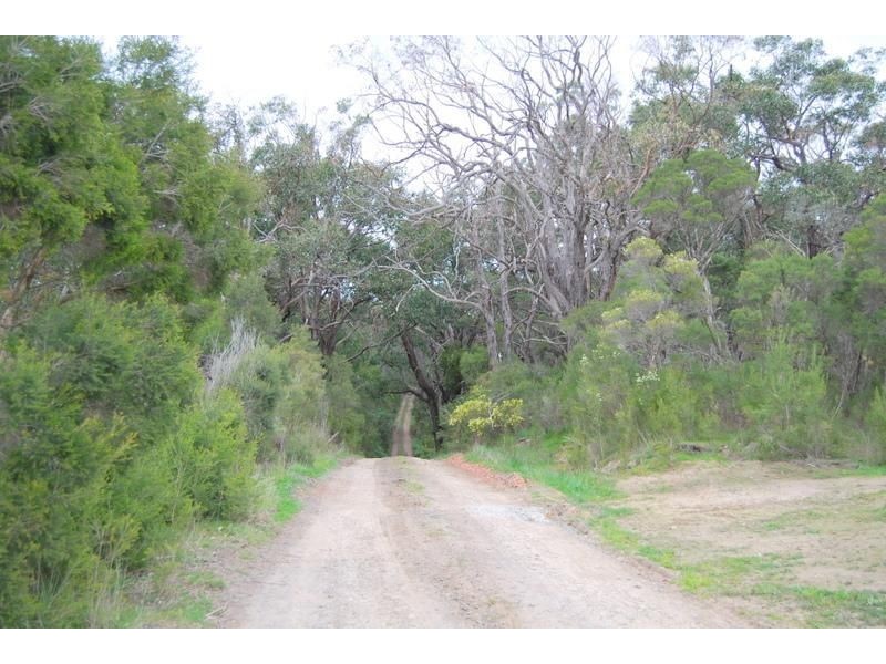 West Creek VIC 3992