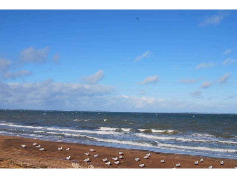 4 Valck Eyrie, Coronet Bay VIC 3984