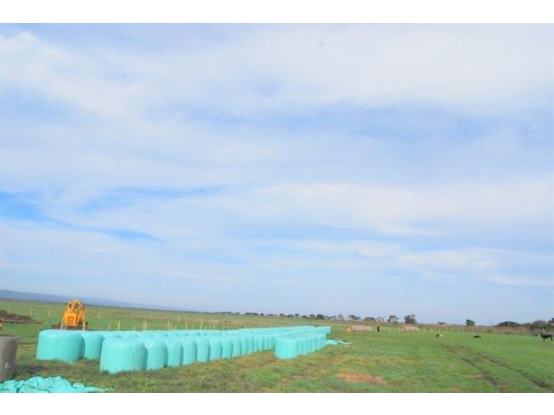 460 Bass Highway, Jam Jerrup VIC 3984