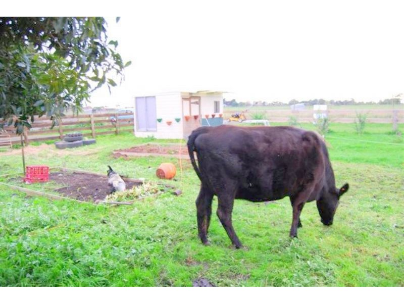 7 Woolmer Rd, Bass VIC 3991