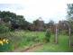 Wattle Bank VIC 3995