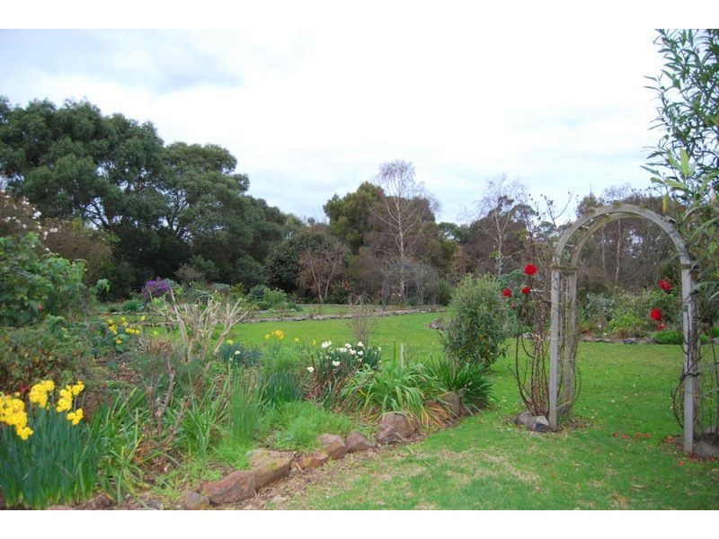 Wattle Bank VIC 3995