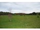 Wattle Bank VIC 3995