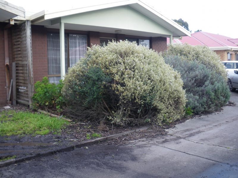 Wonthaggi VIC 3995