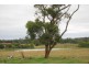 Wattle Bank VIC 3995