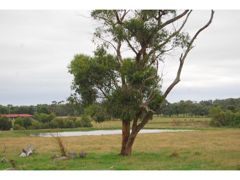 Wattle Bank VIC 3995