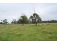 Wattle Bank VIC 3995