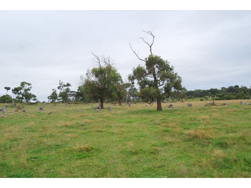 Wattle Bank VIC 3995