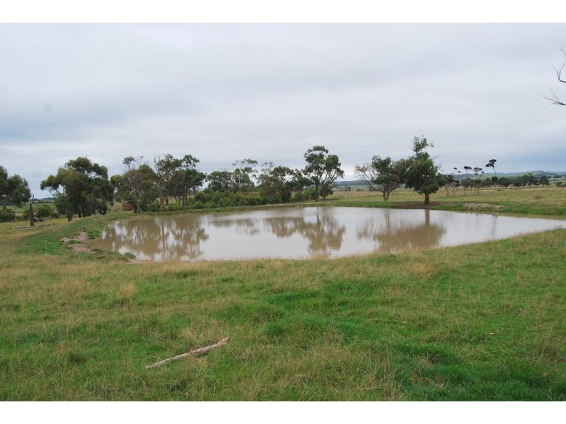 Wattle Bank VIC 3995