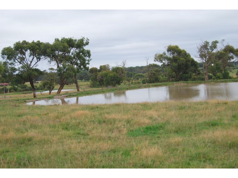 Wattle Bank VIC 3995
