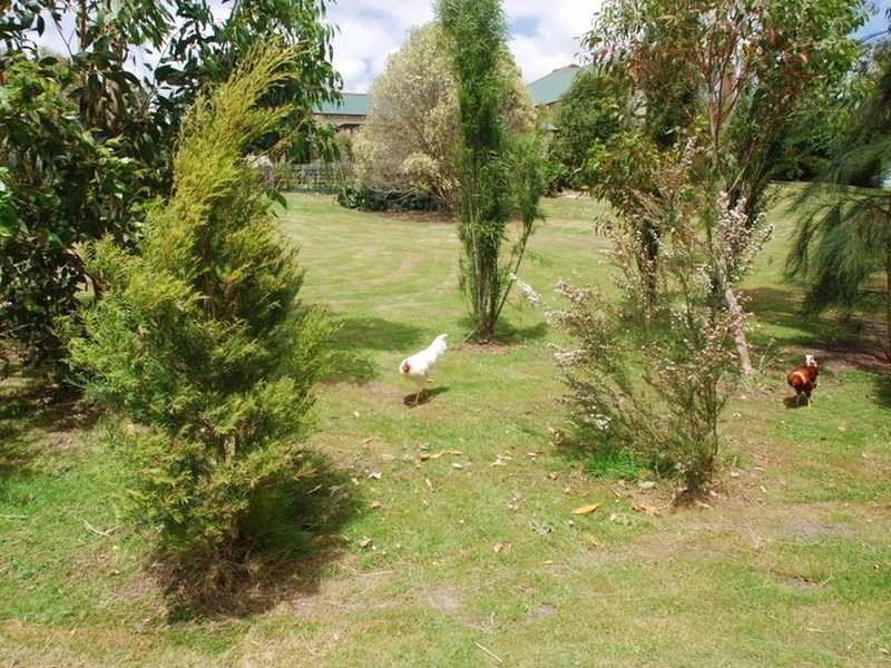 Wonthaggi VIC 3995