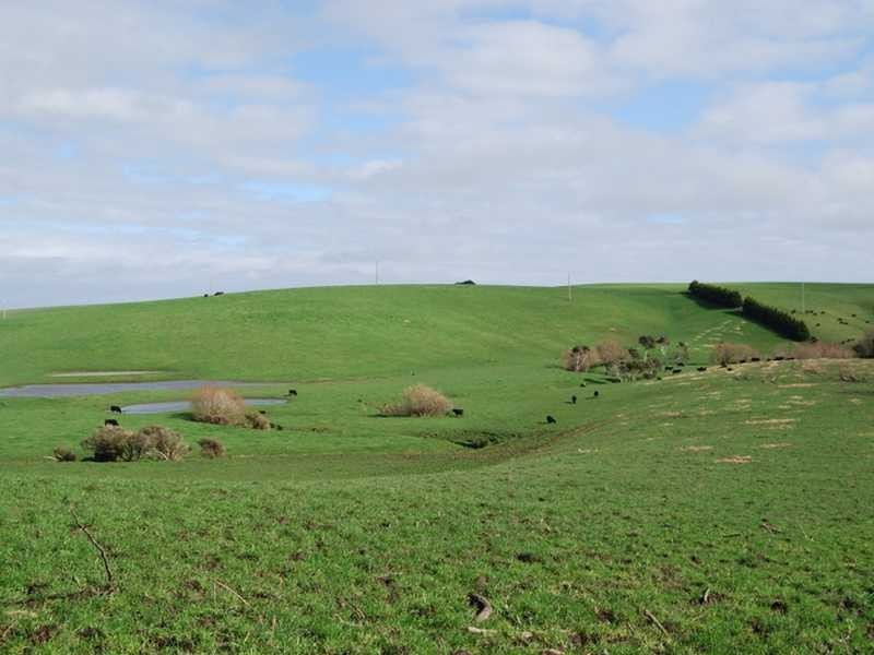 Archies Creek VIC 3995