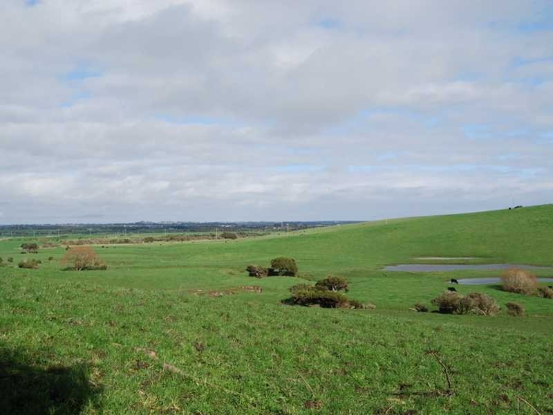 Archies Creek VIC 3995