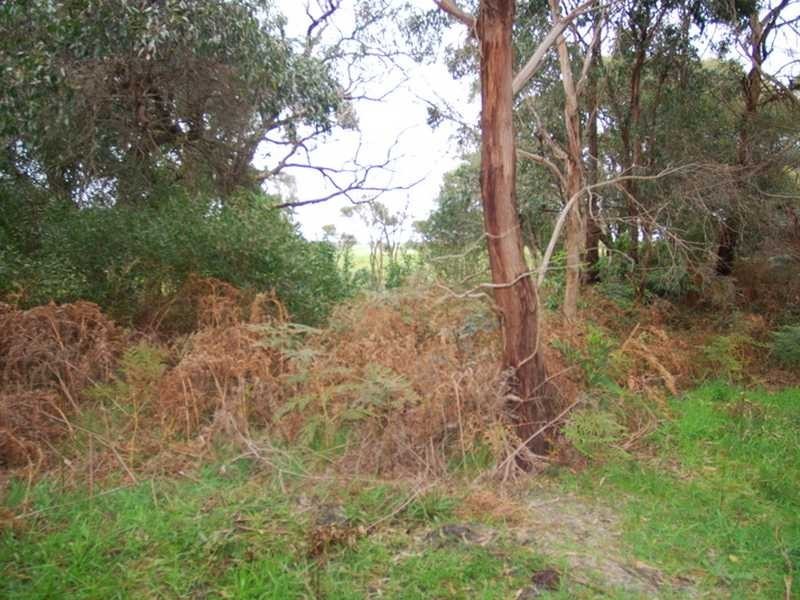 Wonthaggi VIC 3995