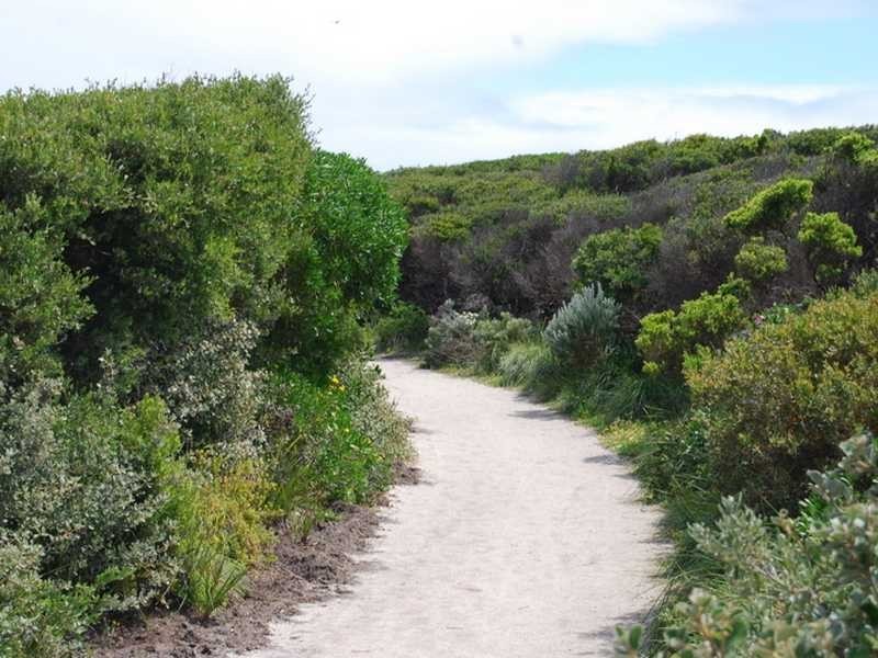 Cape Paterson VIC 3995