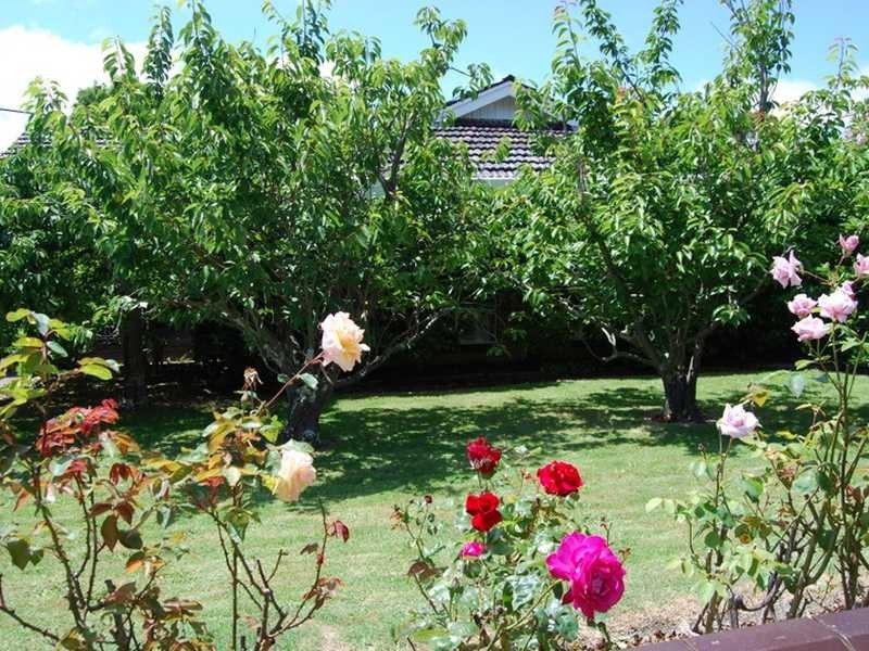 Wonthaggi VIC 3995