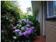 Wonthaggi VIC 3995