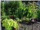 5298 Wonthaggi/Inverloch Road, Wonthaggi VIC 3995