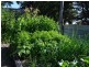 5298 Wonthaggi/Inverloch Road, Wonthaggi VIC 3995