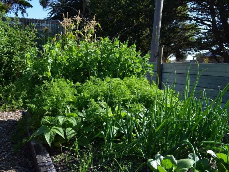 5298 Wonthaggi/Inverloch Road, Wonthaggi VIC 3995