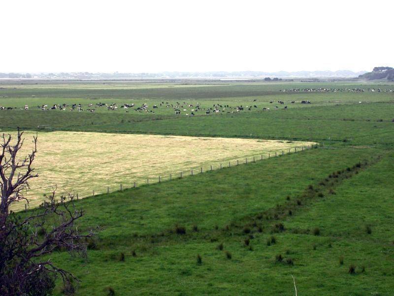 Tarwin Lower VIC 3956