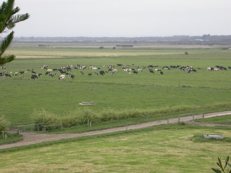 Tarwin Lower VIC 3956