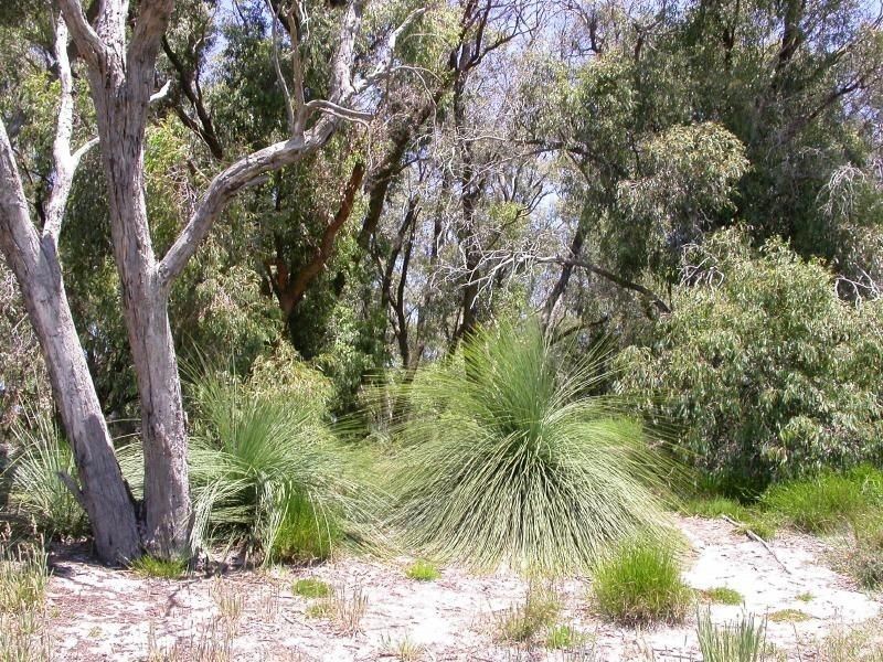 Inverloch VIC 3996