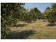 15 Hanks Rd, Nerrena VIC 3953