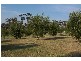 15 Hanks Rd, Nerrena VIC 3953