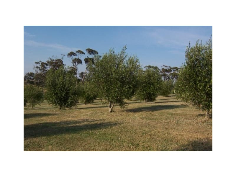 15 Hanks Rd, Nerrena VIC 3953