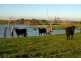 Lot 3 Tarwin Lower Road, Tarwin Lower VIC 3956
