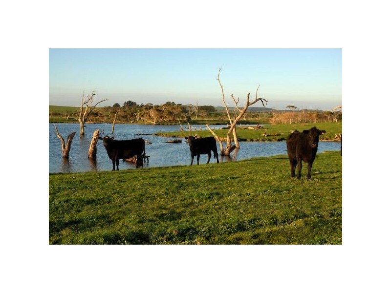 Lot 3 Tarwin Lower Road, Tarwin Lower VIC 3956