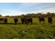 Lot 3 Tarwin Lower Road, Tarwin Lower VIC 3956