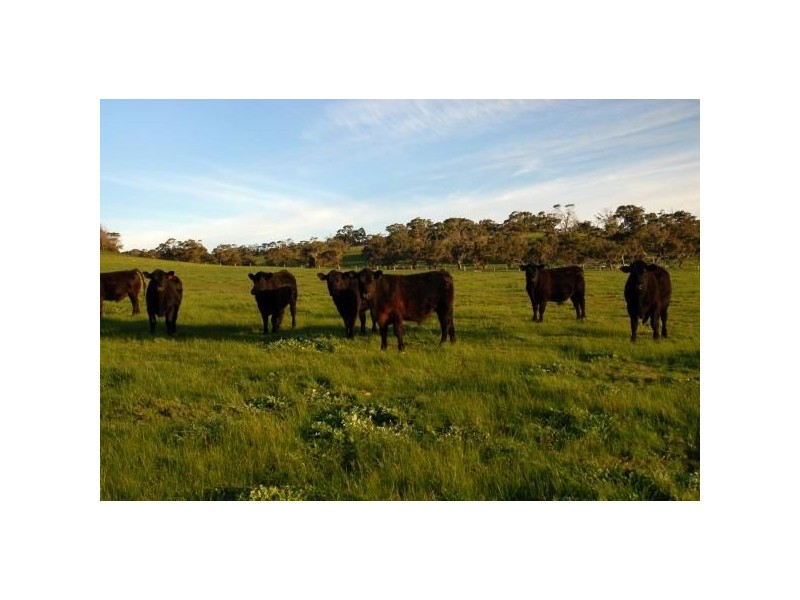 Lot 3 Tarwin Lower Road, Tarwin Lower VIC 3956