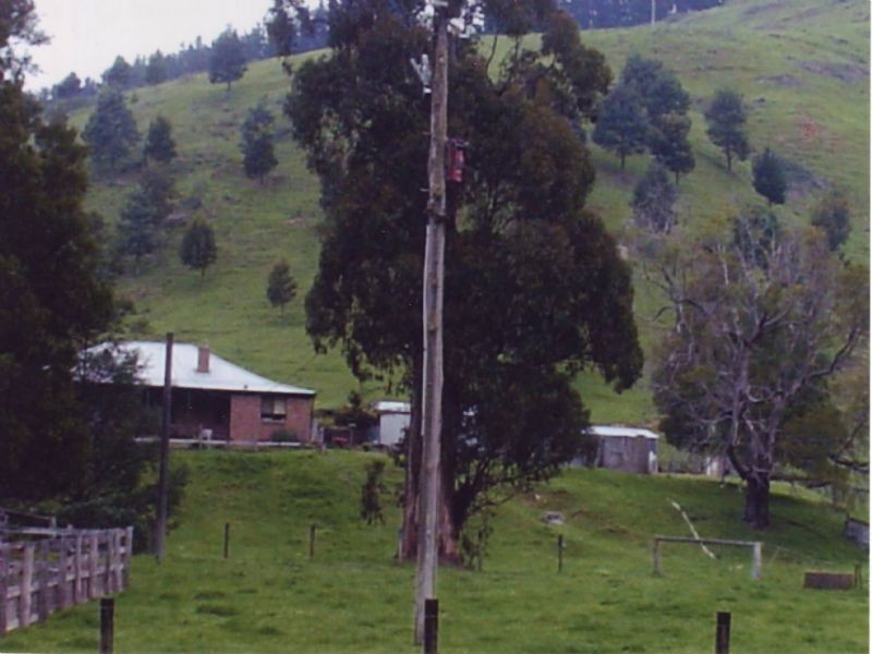 123 Albert River Road, Hiawatha VIC 3971