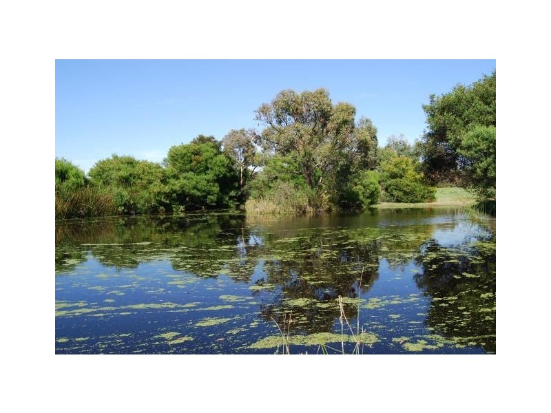 Wattle Bank VIC 3995