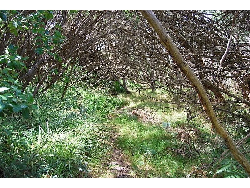 112 Viminaria Rd, Harmers Haven VIC 3995