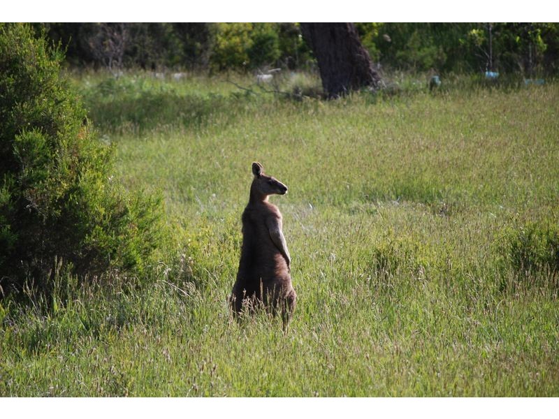 Lot 8 Albert Ruttle Drive, Inverloch VIC 3996