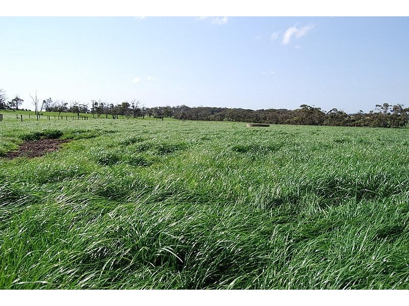 970 Inverloch Outtrim Road, Inverloch VIC 3996