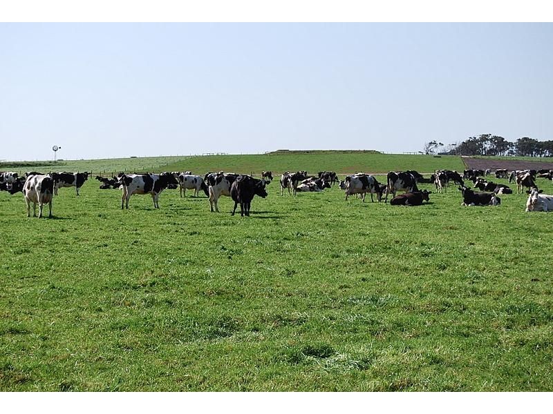 970 Inverloch Outtrim Road, Inverloch VIC 3996