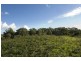 Lot 11 Albert Ruttle Drive, Inverloch VIC 3996