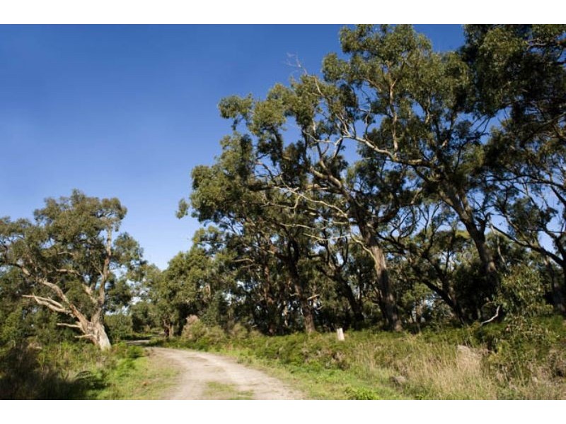 Lot 11 Albert Ruttle Drive, Inverloch VIC 3996