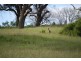 Lot 11 Albert Ruttle Drive, Inverloch VIC 3996