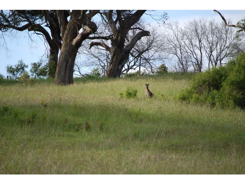 Lot 11 Albert Ruttle Drive, Inverloch VIC 3996